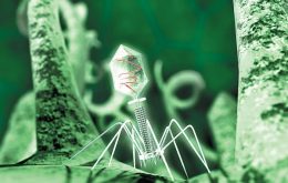 Rostec has developed the world's first universal bacteriophage to combat the infection